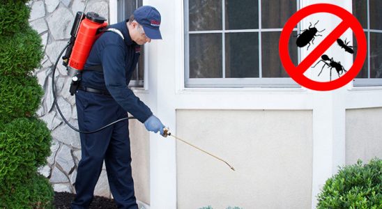 Emet Kemirgen İlaçlama böcek ilaçlama ve haşere kontrolü — ilaclama-tr.com